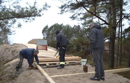 Palanga atnaujina medinius takus