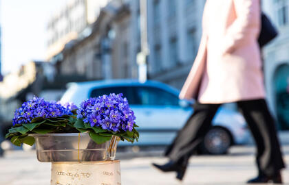 Naują savaitę laukia permainingi orai: lietus, rūkas ir saulė