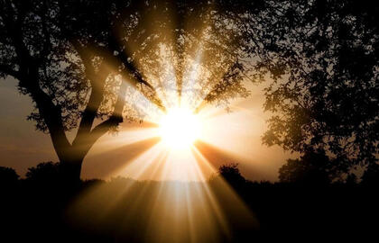 naujas efektyvus būdas saulės šviesą paversti kuru