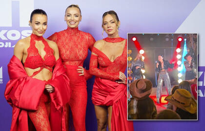 Išplito netikėtas vaizdo įrašas iš „Šeškių“ koncerto