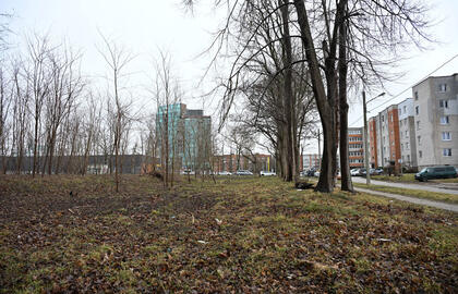 Strėvos gatvė, Klaipėdos uostas, Neto terminalas