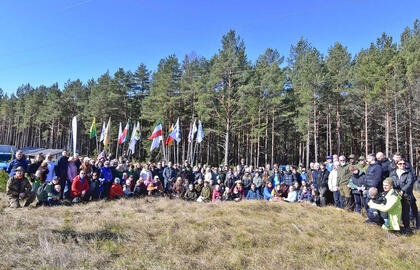 pasodino 16 tūkst. paprastosios pušies sodinukų