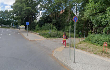 Bangų gatvė, medžiai