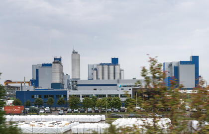 Neo group, Klaipėda