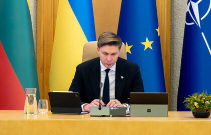 Mindaugas Sinkevičius, Vyriausybė