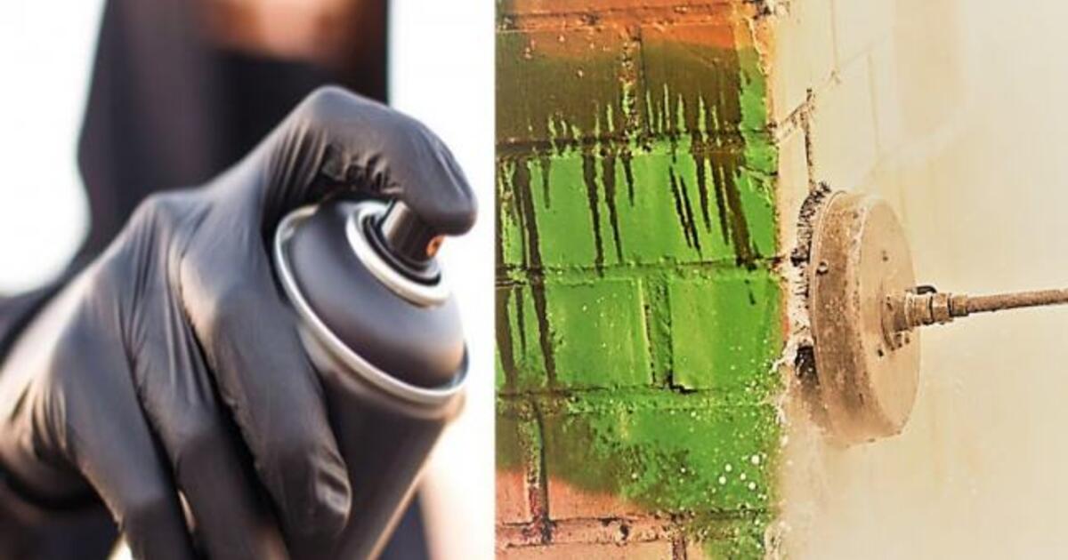 Terliams panižo rankos: apipaišė daugiabutį