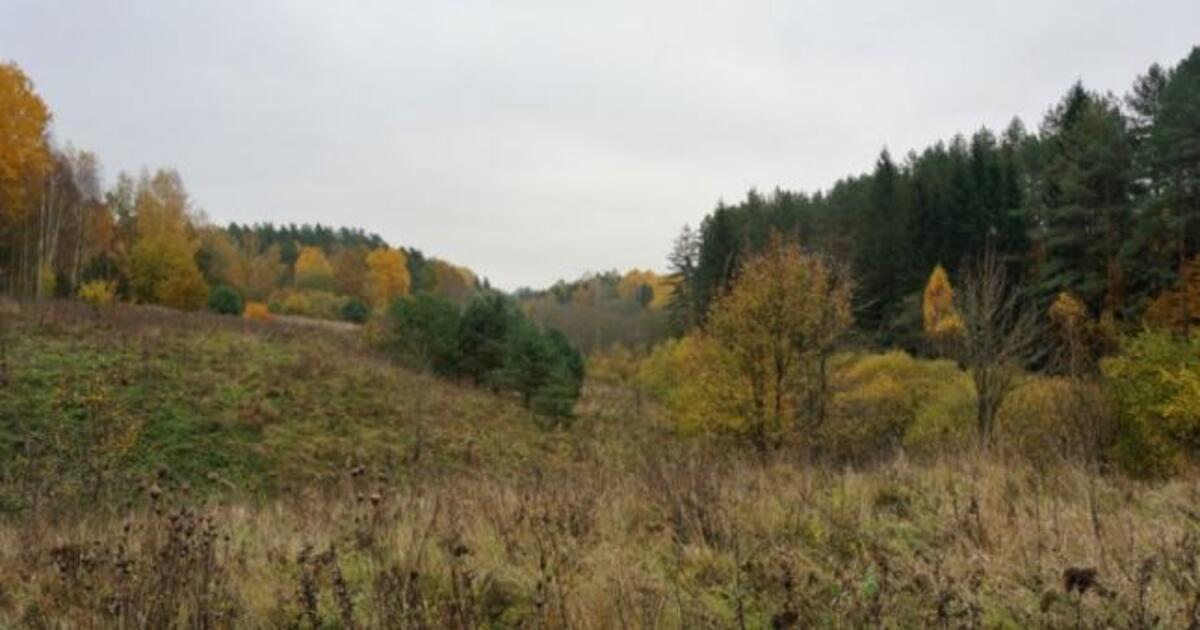 Pradedami naujų valstybinių draustinių teritorijų planavimo darbai