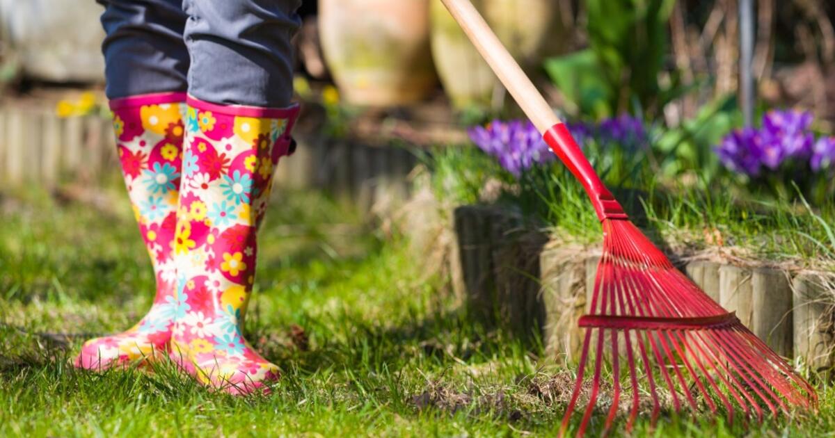 Darže ir sode – be traumų