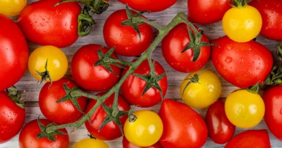 Asciugare, fermentare o magari cuocere una salsa?  TOP Idee dove utilizzare l’eccedenza del raccolto di pomodoro