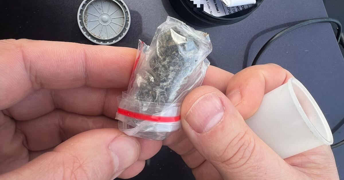 Policininkai žolės mėgėją naktį šalti gatvėje nepaliko: pasiūlė nakvynę areštinėje