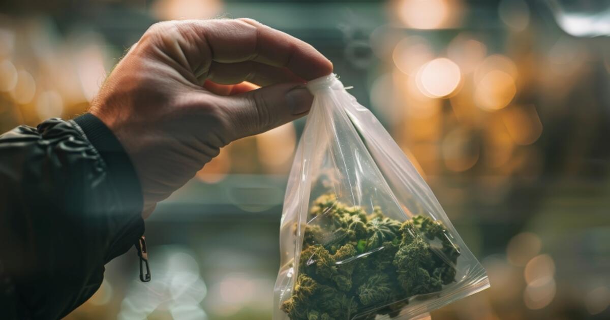 „Žolytės“ dūmelis juoktis neprivertė: pro langą skriejo gėlių vazonai