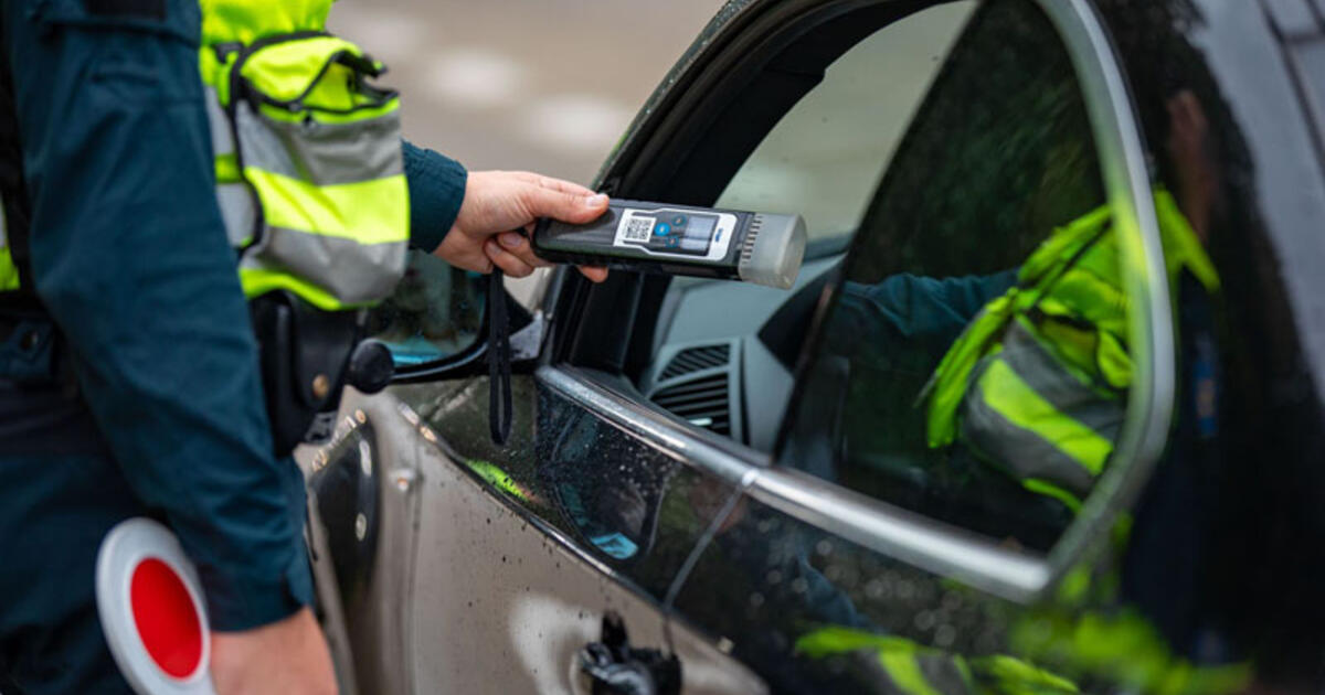 „Darbinga“ dienelė: vidurdienį jau buvo kone kominis