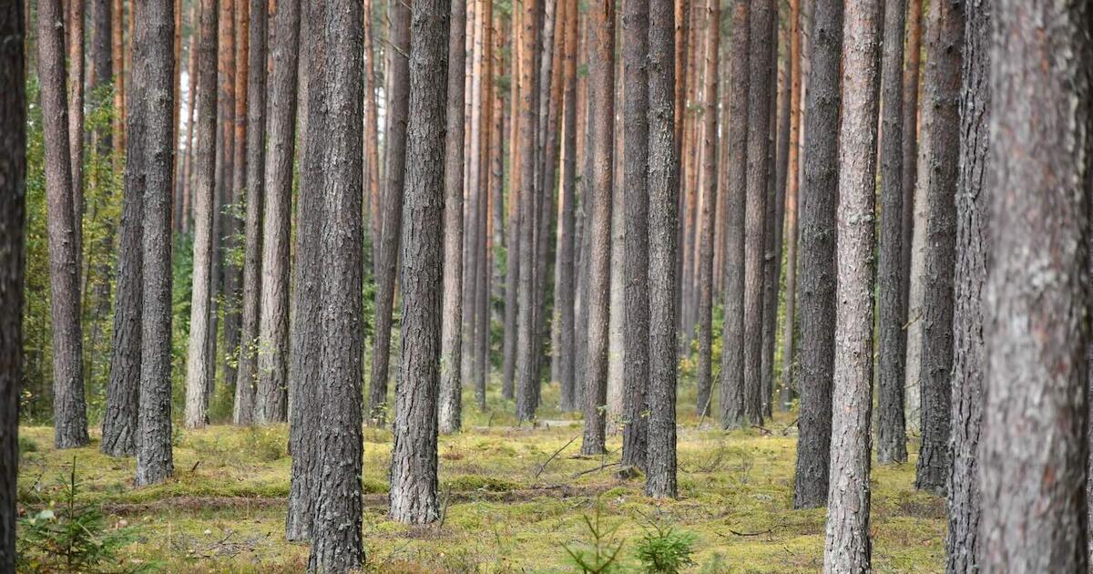 Тихорецке быстровозводимый дом веранда