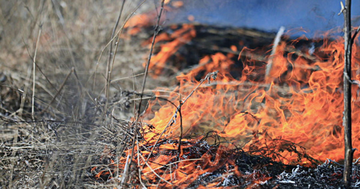 Ugniagesiai gelbėtojai vėl kviečiami gesinti degančių pievų