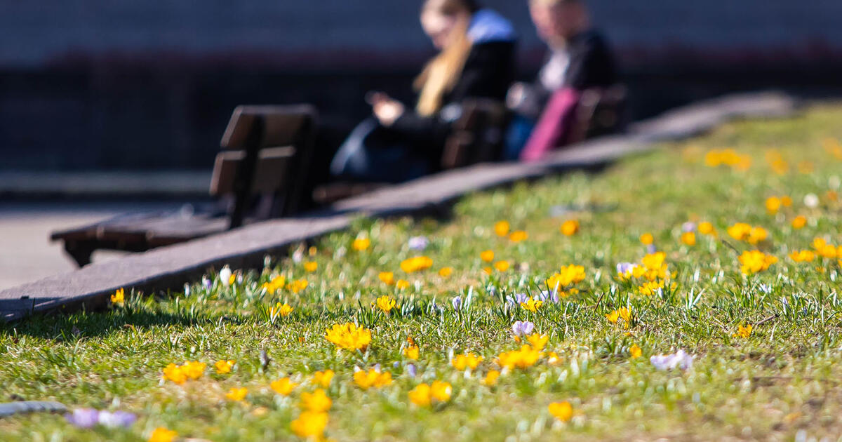 Sinoptikų prognozė: artėjantis atmosferos frontas atneš lietų, tačiau šiluma nesitrauks