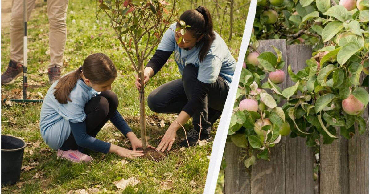 Artėjant sodinimo sezonui – specialistų patarimai, kaip išsirinkti augalus