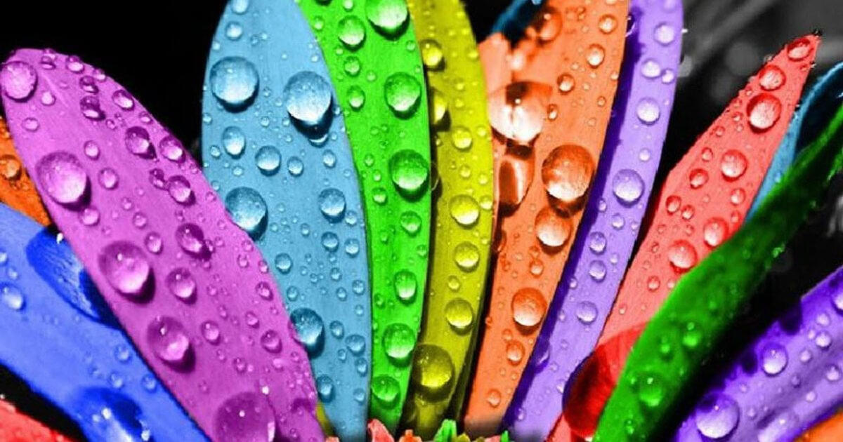 Nuotaikos spalva: ką jūsų mėgstamas atspalvis sako apie tikruosius jausmus