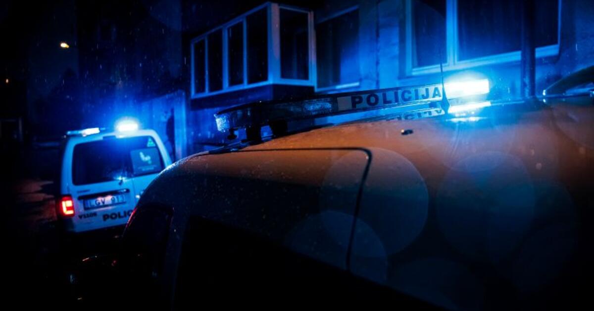 Lenkiškas dokumentas pareigūnams įspūdžio nepadarė: vairuotojas „persodintas“ į areštinės kamerą