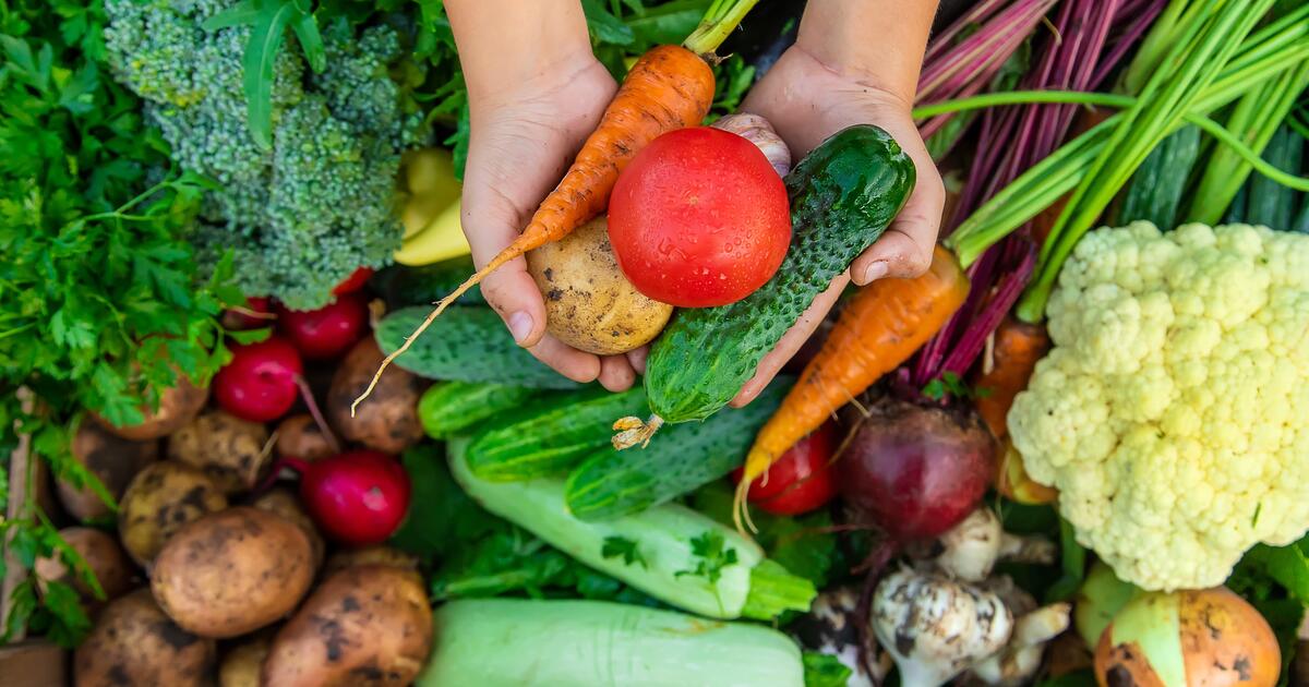 „Žarnyno šluota“ vos už keletą eurų