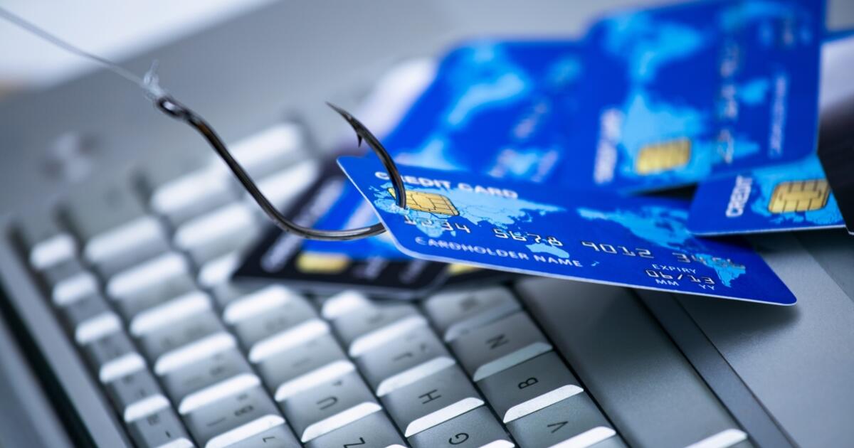 „Užsakė“ labai jau brangų kurjerį: banko sąskaitoje ėmė švilpauti vėjai