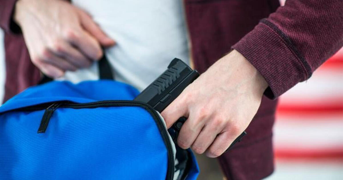 Klaipėdoje dingo rankinė, kurioje buvo pistoletas su šoviniais