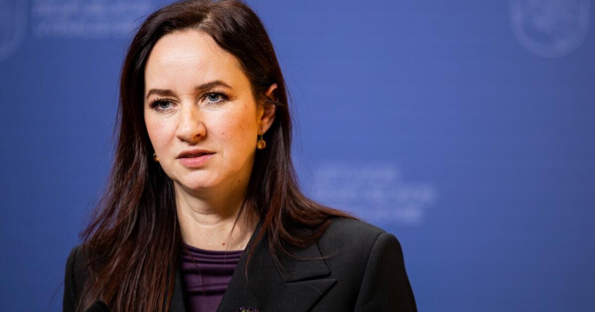 Ruginienė nekomentuoja Žemaitaičio grasinimų nepalaikyti biudžeto: esu susikoncentravusi į darbus