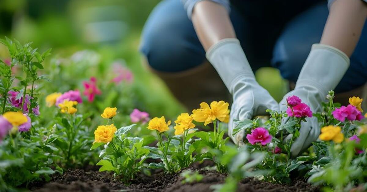 Gėlių priežiūros triukas, apie kurį žino tik patyrę augintojai
