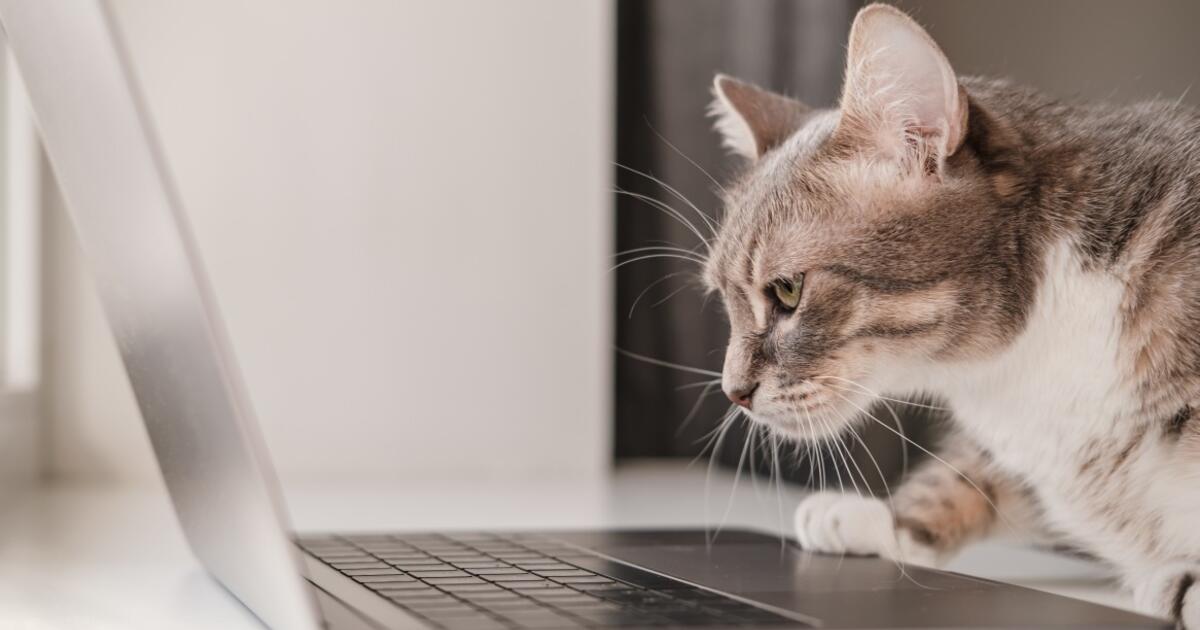 Pateikė aiškų atsakymą: ar galima dirbti iš namų per vaikų mokyklines atostogas?