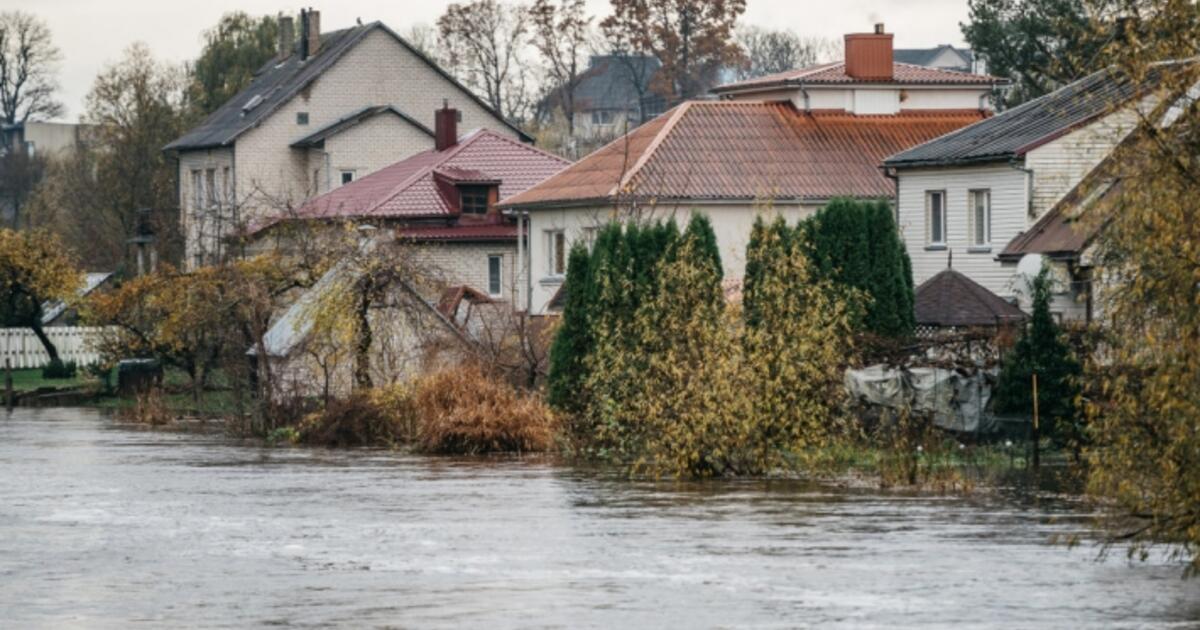 Kretingos rajono savivaldybė už 1,5 mln. eurų ES lėšų rekonstruos pylimą potvynių rizikai mažinti