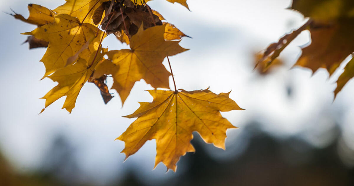 Orai: debesuotas trečiadienis ir stiprus vėjas pajūryje – permainos jau šį savaitgalį