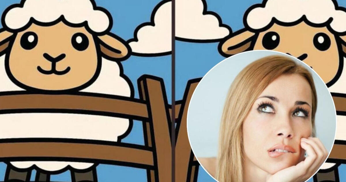 Smegenų mankšta: ar pavyks rasti 3 skirtumus avių paveikslėlyje vos per 51 sekundę?