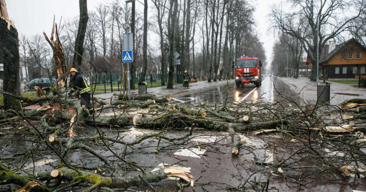 „Nuo vėjo kažkas lūžta“: stadione griuvo siena, kitur ant kelių virto medžiai