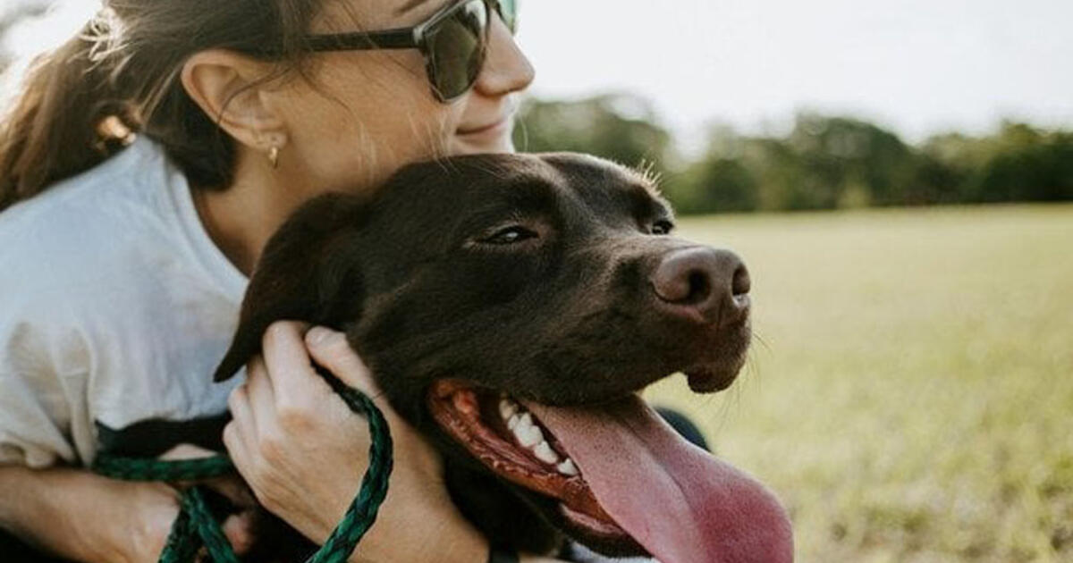 Kaip pailginti šuns gyvenimą trejais metais: vertingi veterinarijos gydytojos patarimai