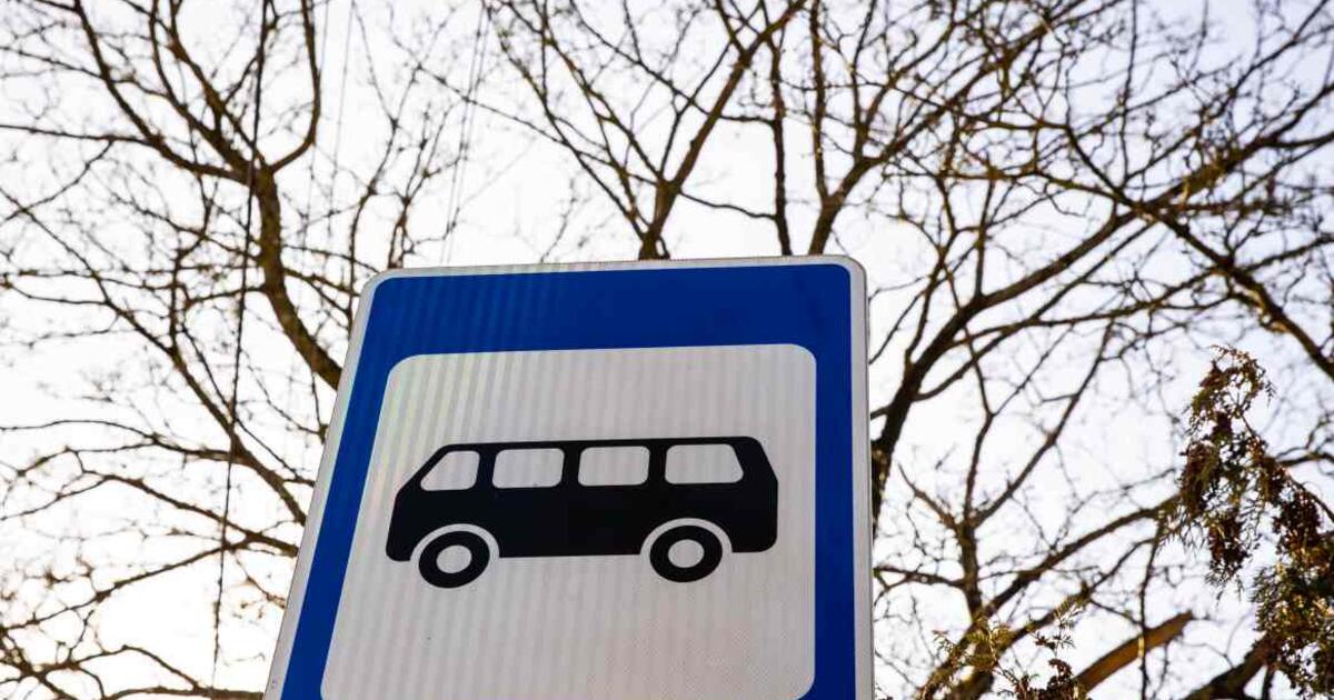 Alkoholis sugyventinį pavertė žvėrimi: išgama moterį suspardė tiesiog autobusų stotyje
