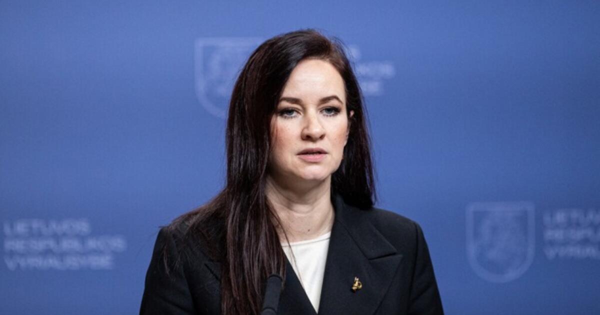 Duchnevičius prakalbo apie Ruginienės darbo trūkumus: ypač akį rėžia komunikacinės klaidos