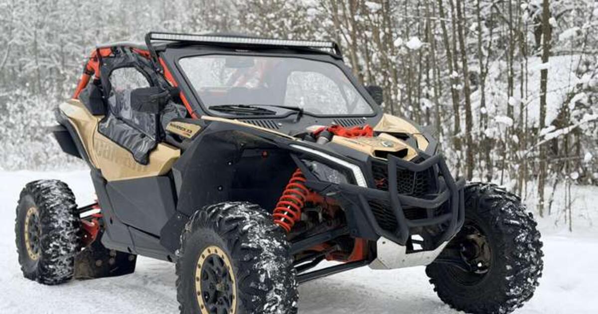 Gelbėdamas namus, savęs nesaugojo: pasivažinėjimą snieguota bekele teks atidėti