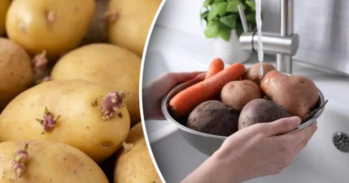 Bulvės nesudygs iki vasaros, jei šalia padėsite vieną produktą: naudingas patarimas