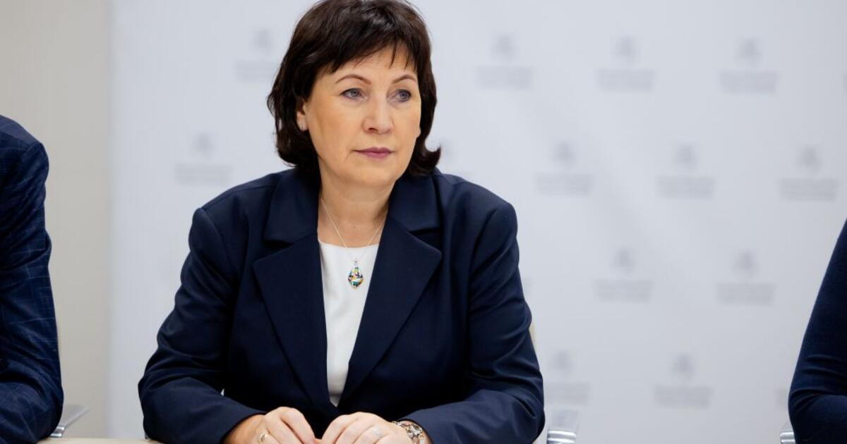 Ministrė apie demografinę krizę: svarstome rengti akciją, kur bus galima susipažinti, pašokti
