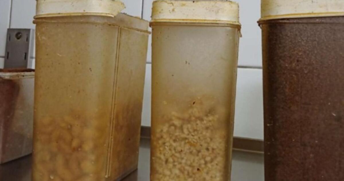 Higienos košmaras Gedimino prospekte: sustabdyta kavinės „Azijos Dvasia“ veikla