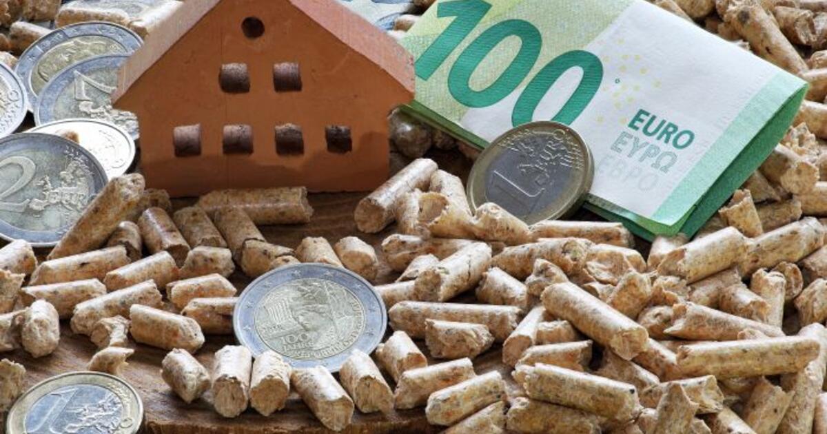 Žiemos rūstybė ir tuštėjančios malkinės: kodėl posakis apie vasarą ruošiamas roges tapo pranašiškas?