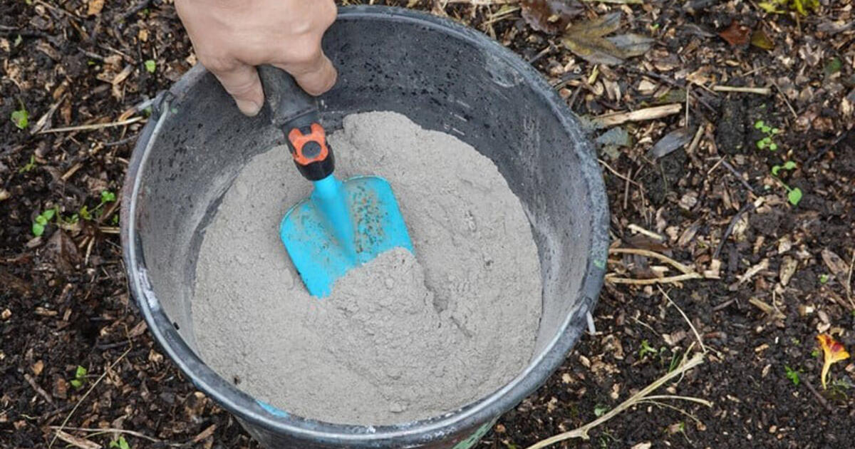 Ištirpinkite šias pigias trąšas vandenyje – vaismedžių sodas lengvai atsistatys po stiprių šalčių
