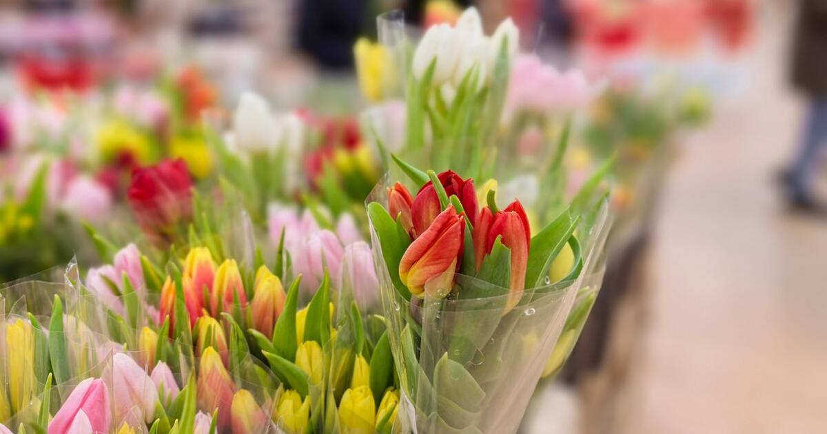 Nustebsite: šios dvi klaidos pražudo jūsų Valentino dienos gėles