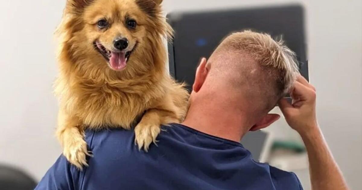 Jūsų šuo patiria stresą dar prieš jums išeinant: klaidos, kurių nepastebite