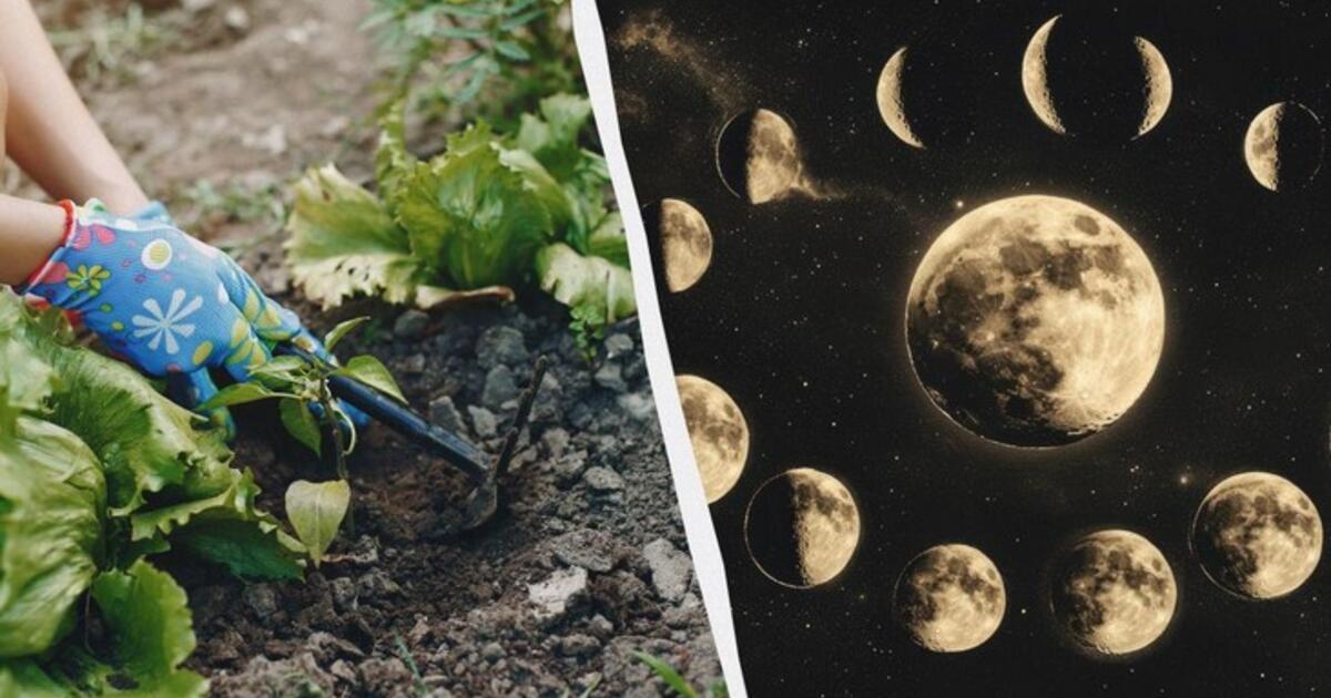 Šiomis balandžio dienomis apie daržą geriau pamiršti: tikslus mėnesio sėjos kalendorius