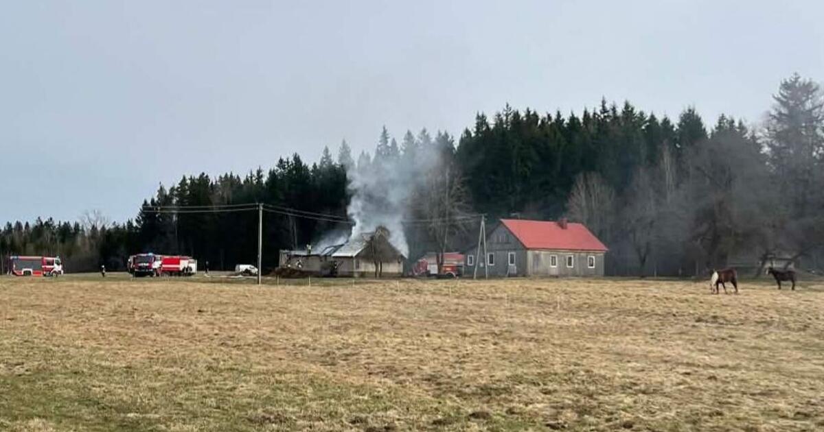 Iš medinės pastato dalies liko tik nuodėgulių krūva: bulius nuo liepsnos nepaspruko