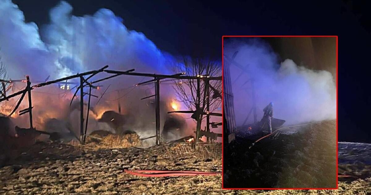 Pavasarį ūkininkai liko ne tik be pašarų: supleškėjo ir ūkinis pastatas