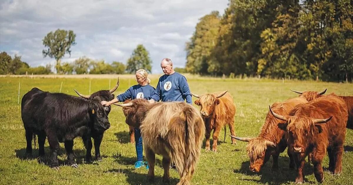 Gyvūnų gausa nulėmė atvirą gyvenimo būdą kaime