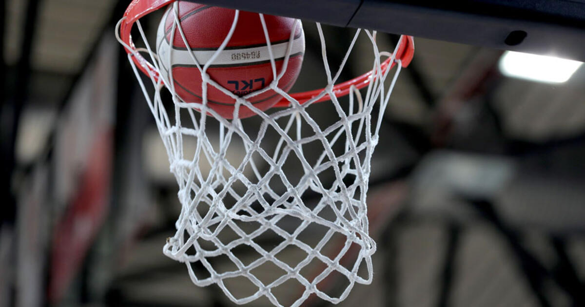 Tarnyba pradėjo tyrimą: krepšinio treneris studentą pavadino „nelaimingu sutrium“