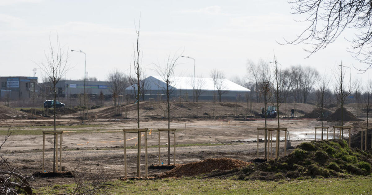 Naujame parke bus pasodinti keli šimtai medžių