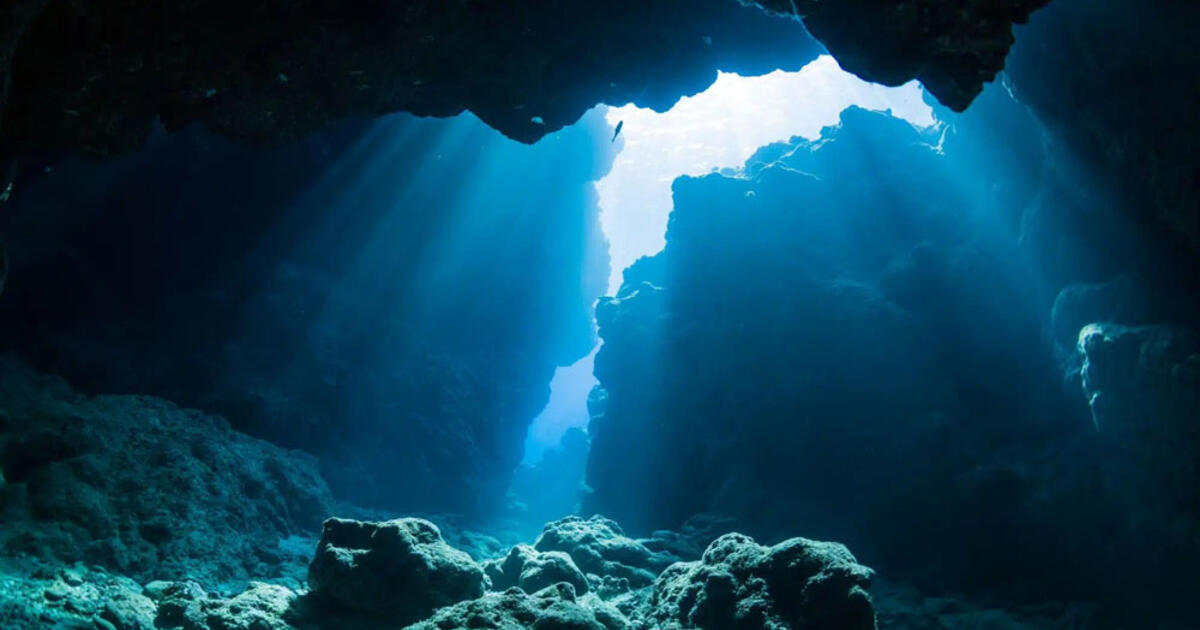 Povandeniniame urve narai rado didžiausią beždžionių fosilijų kolekciją